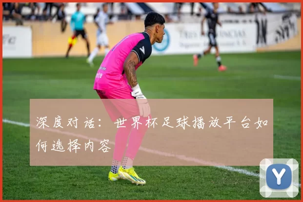 深度对话:世界杯足球播放平台如何选择内容
