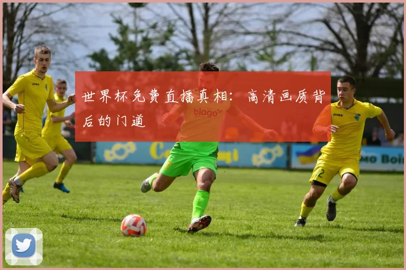 世界杯免费直播真相：高清画质背后的门道