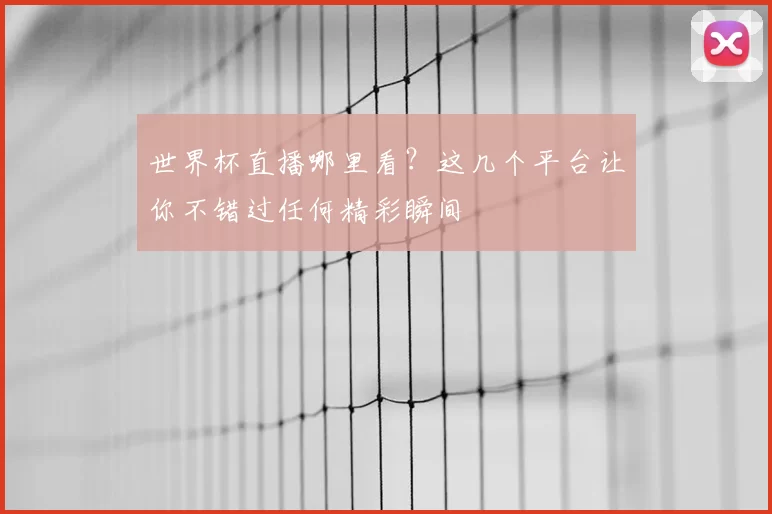 世界杯直播哪里看?这几个平台让你不错过任何精彩瞬间